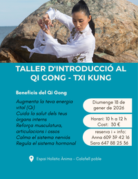 QG introducci&oacute; gener 25 web